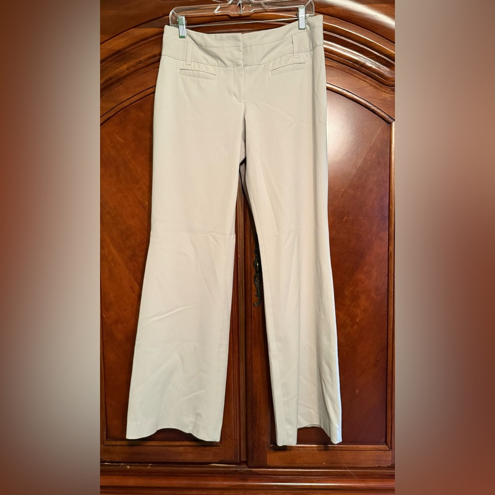 Express Dress pants